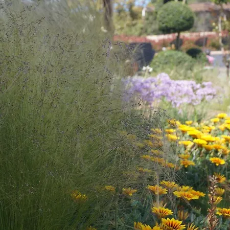 Les Jardins De Santa Giulia - Charmante D'hote * Porto Vecchio