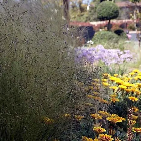 Les Jardins De Santa Giulia - Charmante Dhte 3* Porto-Vecchio
