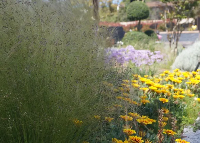 Les Jardins De Santa Giulia - Charmante Dhte 3* 포르토베쉬오